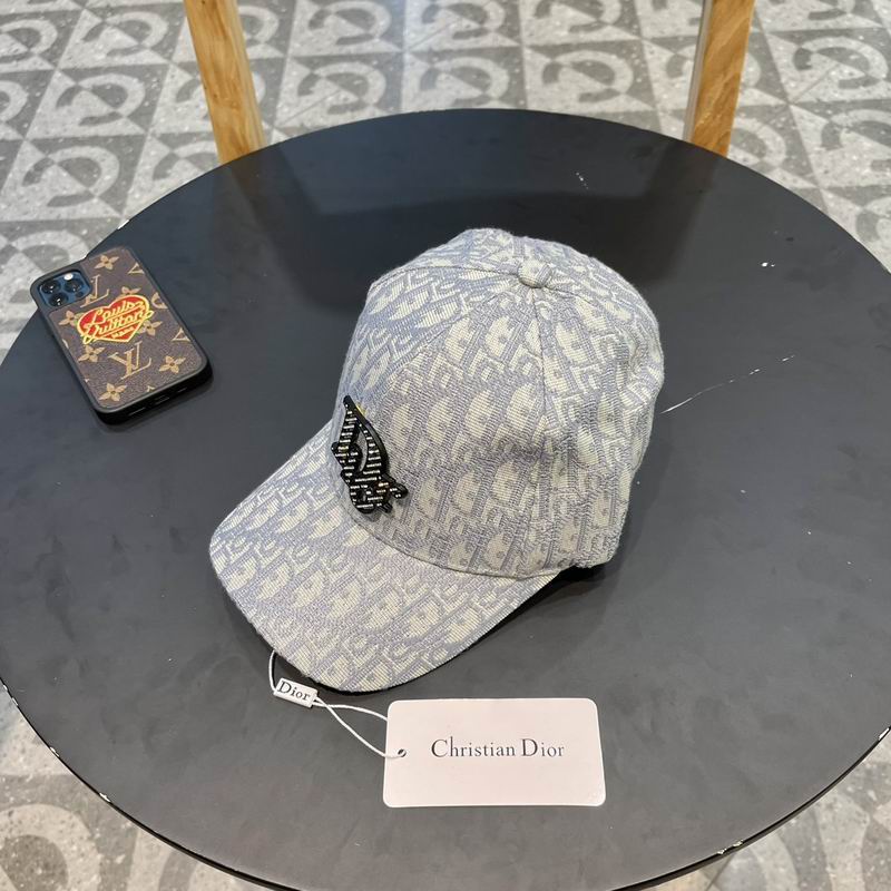 Dior cap (61)